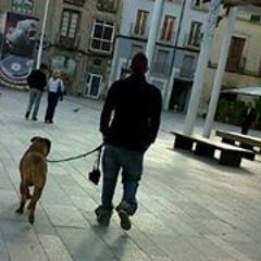 buena lista de música para gozar