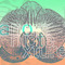 anorchidtexture