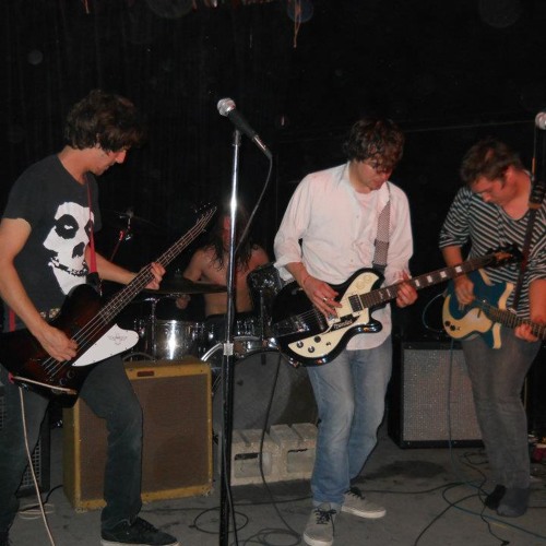 Heat Rat Magnets - One in D