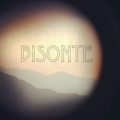 .Bisonte Collective.