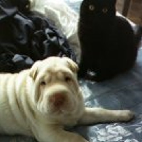 Fry You Like Fish Jazz Instrumental - Caveman