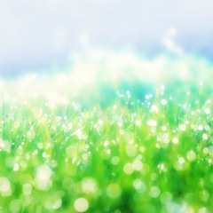 Freedomndream S Stream Freedomndream S Stream