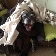 Nancy Clayton-Schofield