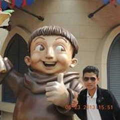 R Zarni