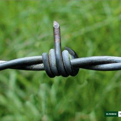 vinc tap du yèp
