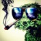 Pete Weed