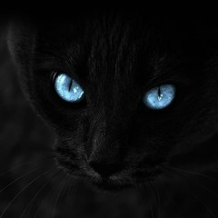 أيها القادم