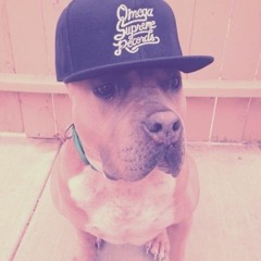 AEBOOGIE