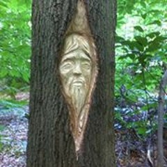 Tribalanimal Carving