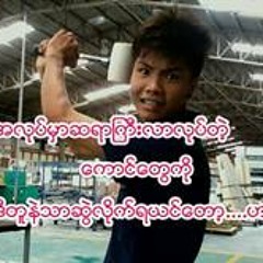 bobo