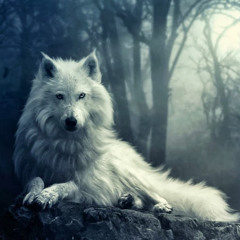 khadijah elshakankiry