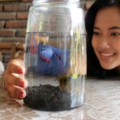 Yunia Dewi Prihatiningsih