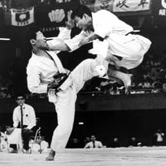 Tento Karate Ryu