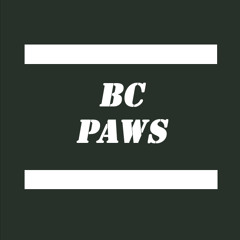 BcPaws
