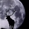 moonphasess