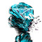 | atmospigbull |