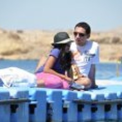 Amr Mansour 8