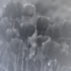 turrlerpsendurwinterrrr