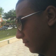 ahmed abd L fattah