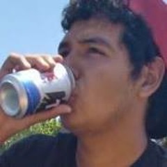 Irvin Adolfo Lopez Flores