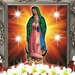 Francisco Garcia 209