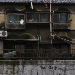 Tom Gally