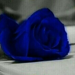 user190035266