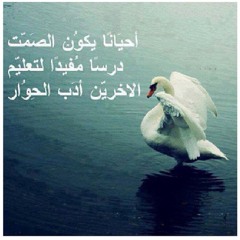 user552491850