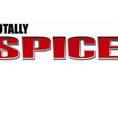 Spice Up Your Life (acoustic)