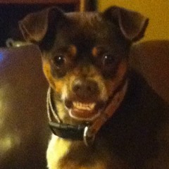 Trivium - In Waves (Lucky 13 dual blend profiles)