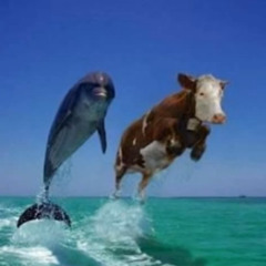 Pretty Little Bunnies