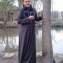 Mohamad Anter