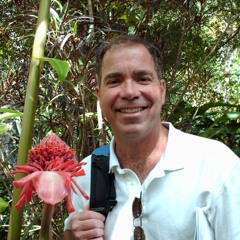 Let The Crying Days Begin