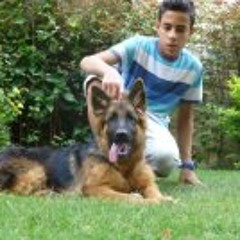 Kareem Ayman 1