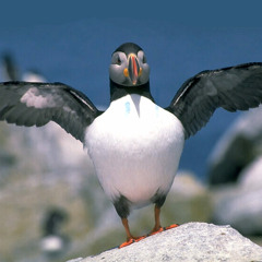 Ariana Grande - Side To Side (Drop G Remix)