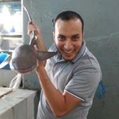 قرآن