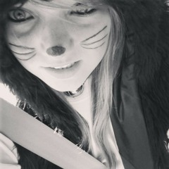curiouskitty