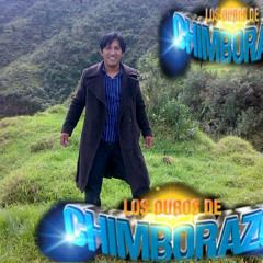 user336663799