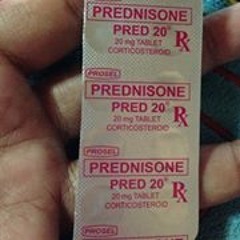 Lan Torrijas Arquiza