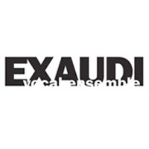 EXAUDI’s avatar