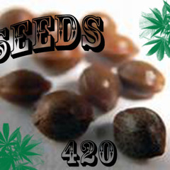 seeds420