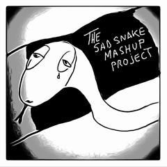 THE SAD SNAKE MASHUP PROJ