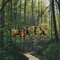 AXTX