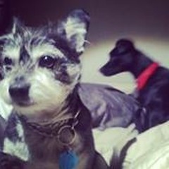 Christina Elizabeth 7