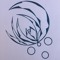 .Ziiro