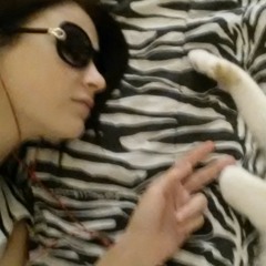 takemypaw_andjustjump