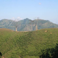 Ke Bho Ke Bho - Reema Gurung Hoda