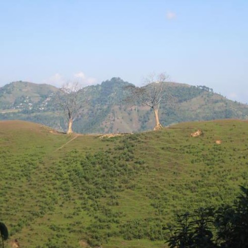Ke Bho Ke Bho - Reema Gurung Hoda