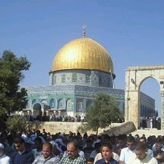 Maher Gha
