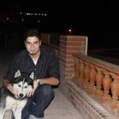 Mohamed Elsherbiny 11